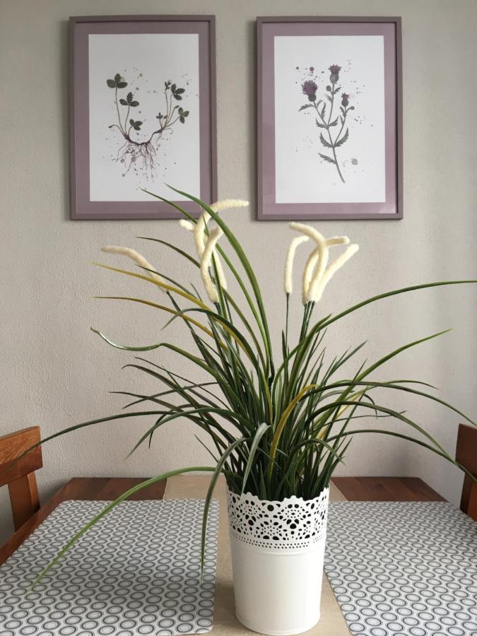 Sternchen Apartment *